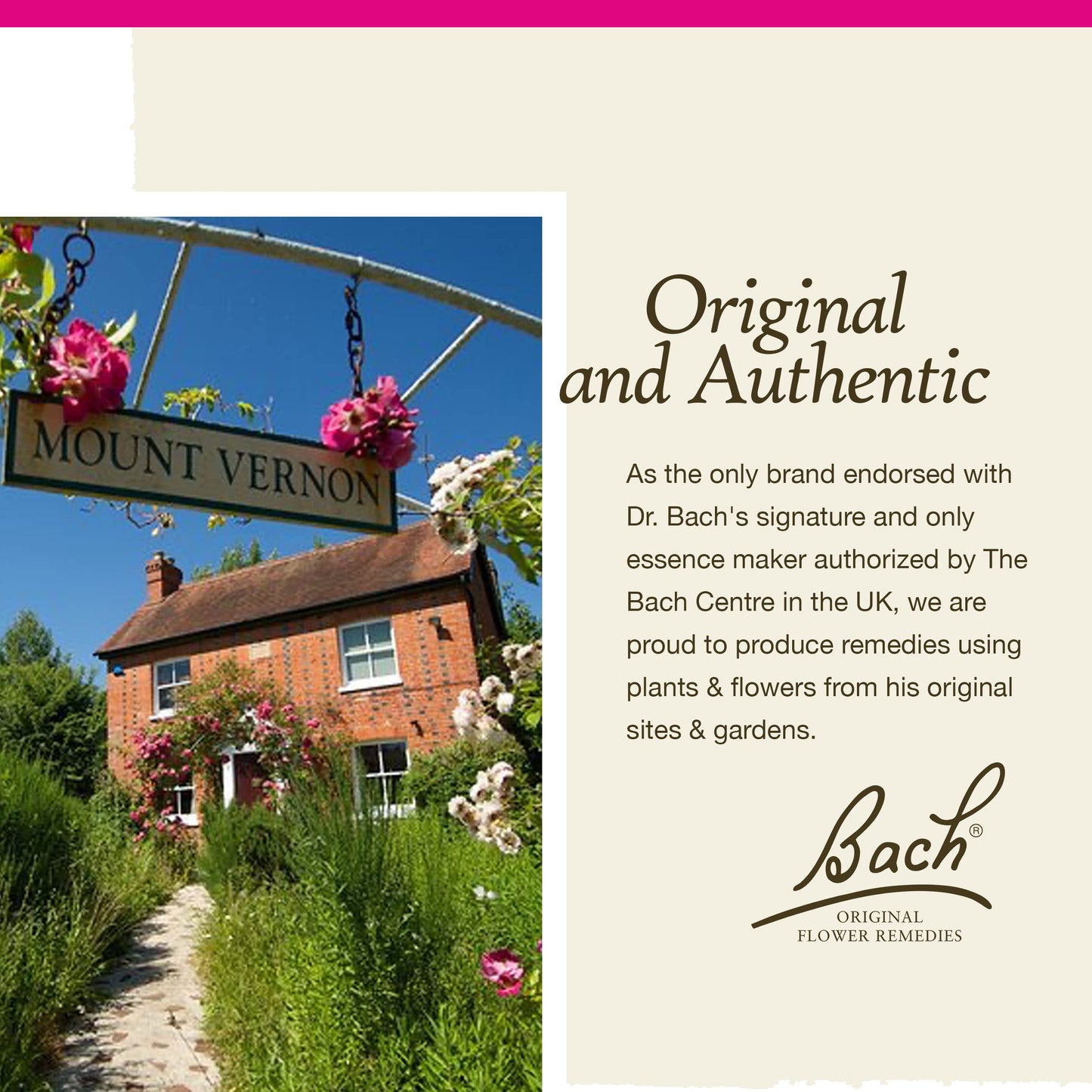 Bach Larch Original Flower Remedies - Have Confidence (20mL Dropper)