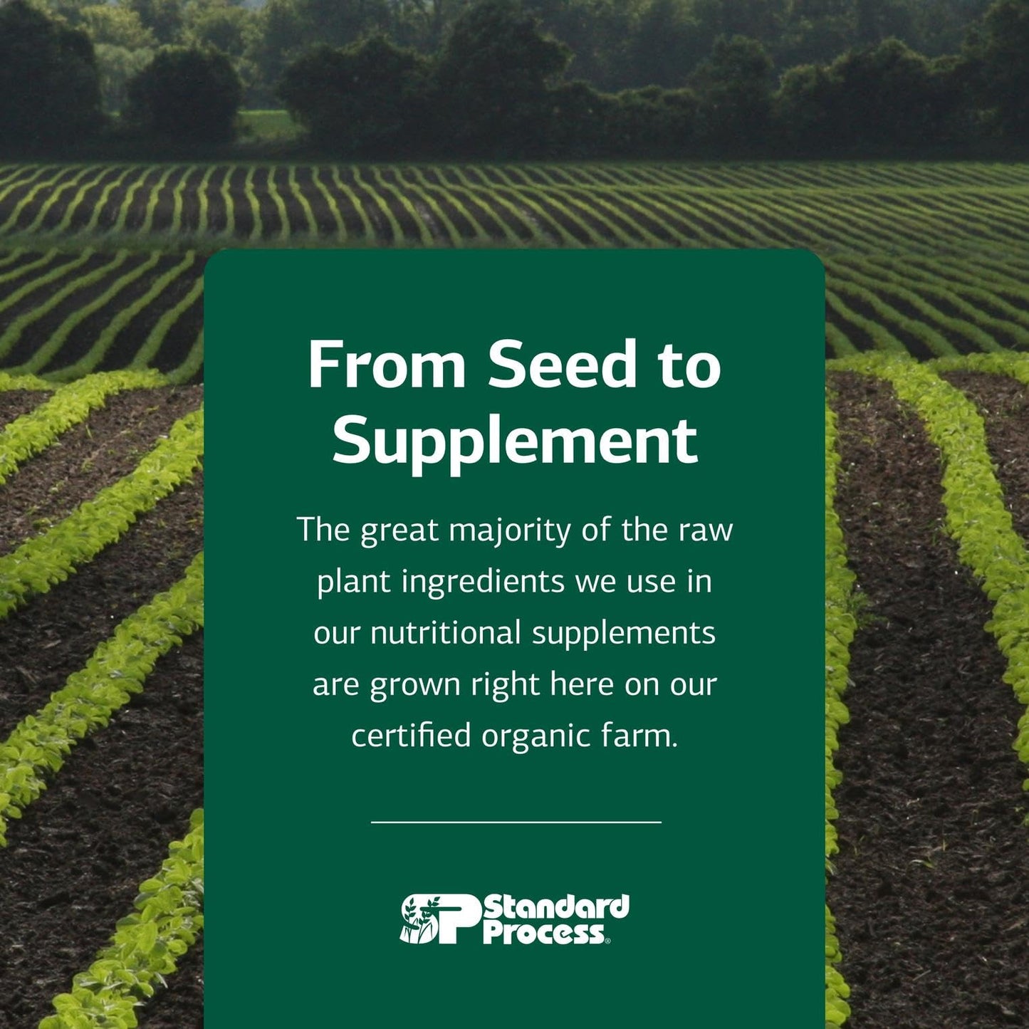 Cataplex E by Standard Process – Whole Food RNA Supplement & Antioxidant (90 Tablets)