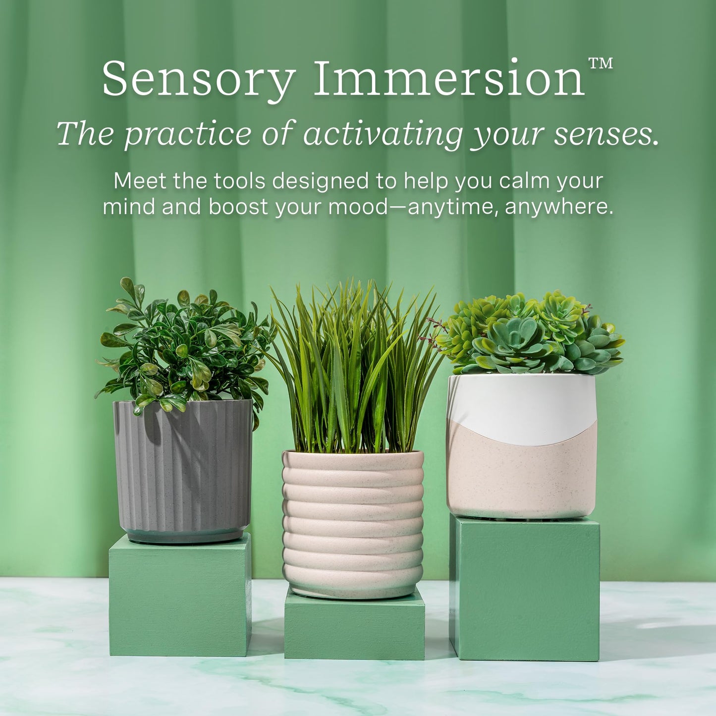 Lifelines Plant Diffuser Bundle – 2 ClickWick Blends | Rechargeable Aromatherapy