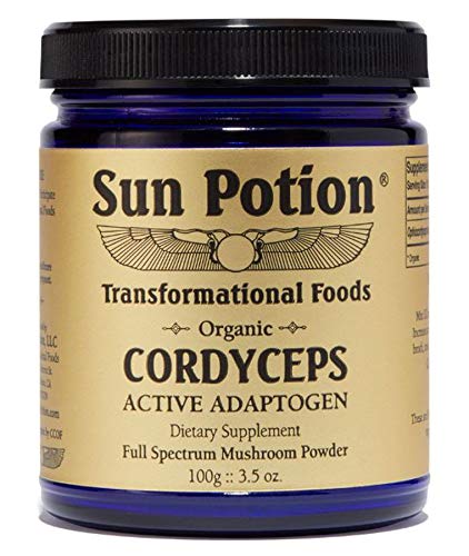 Cordyceps Sun Potion 100g | Transformational Foods Organic Powder Drink