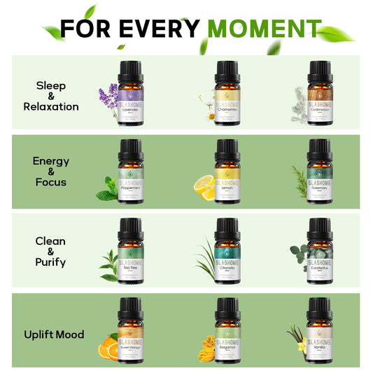 12-Pack Essential Oils for Diffusers – Sleep & Refreshing Scents | Gift Box
