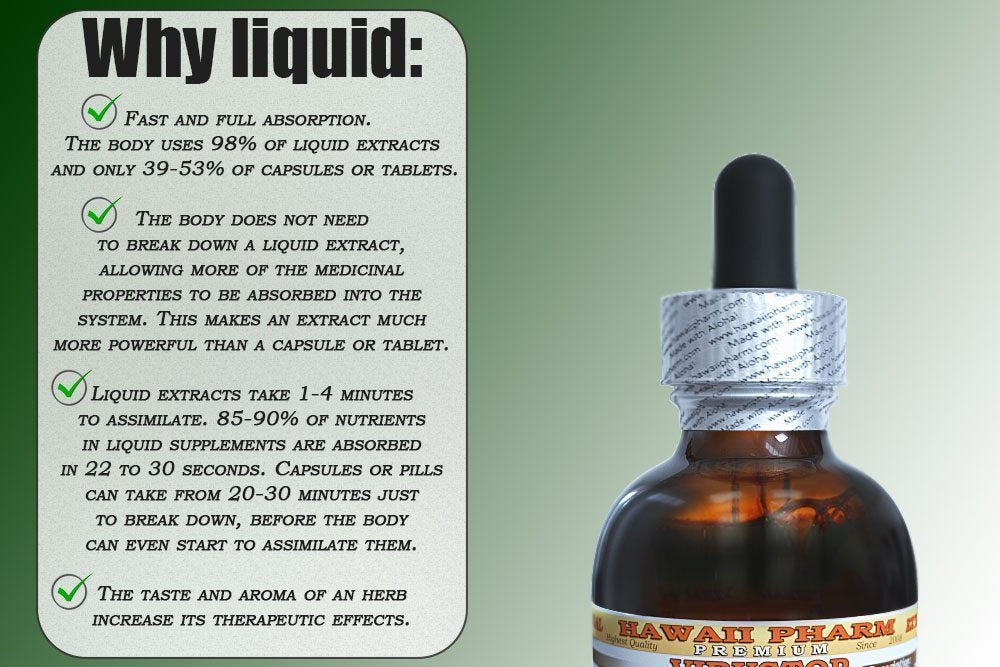 Goldenrod Glycerite 2 oz – Organic, Alcohol-Free Liquid Extract