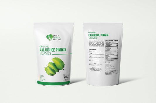 Kalanchoe Pinnata Leaves Powder – Premium Dried Leaf of Life