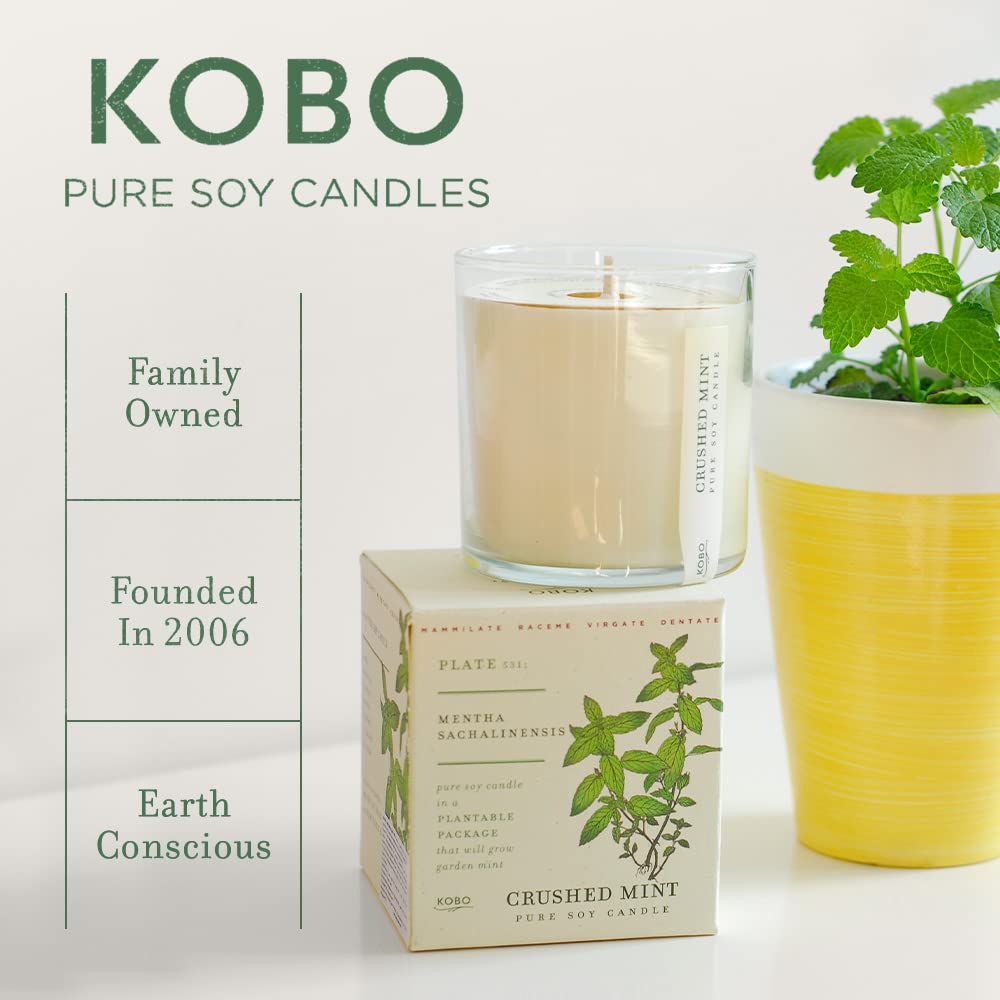 KOBO Heath Lavender Candle 9oz – Plantable Box, 60-Hour Burn, USA Hand-Poured