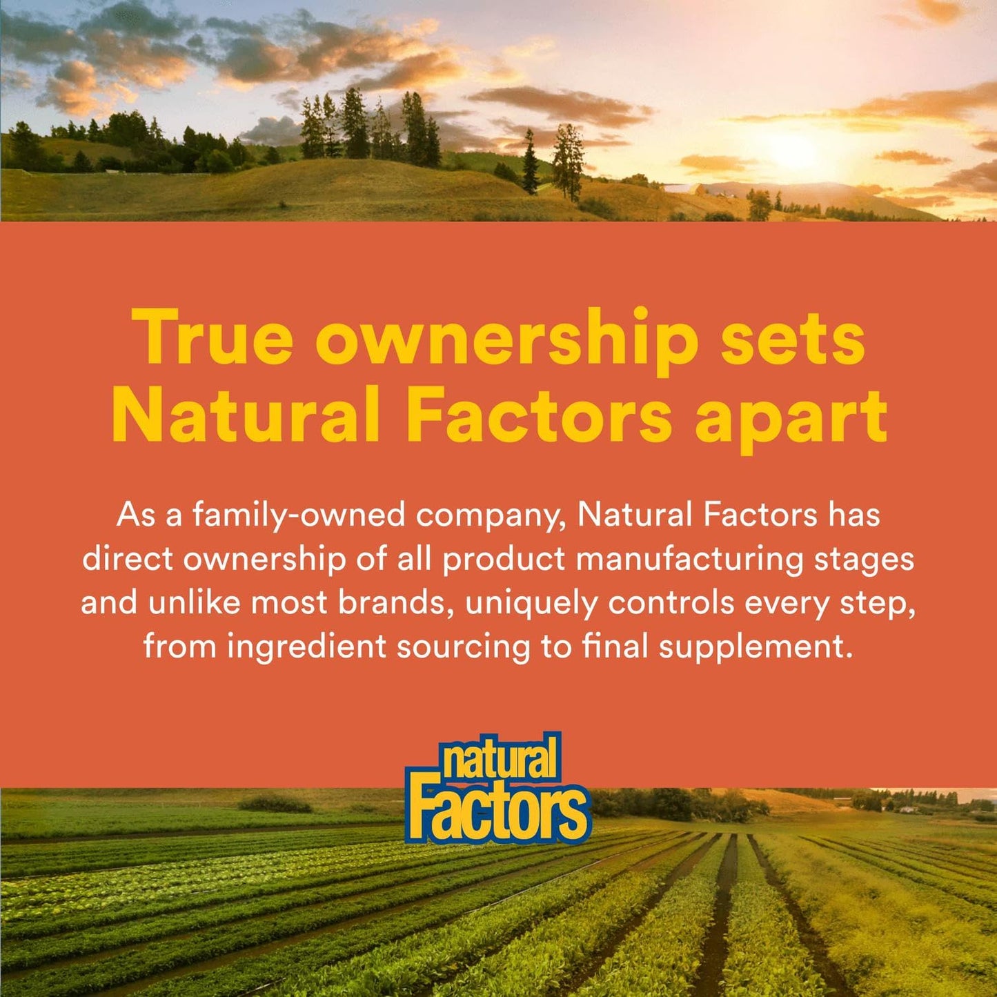 Natural Factors Joint MSM Formula – Supports Joints, Muscles & Cartilage (90 Capsules)