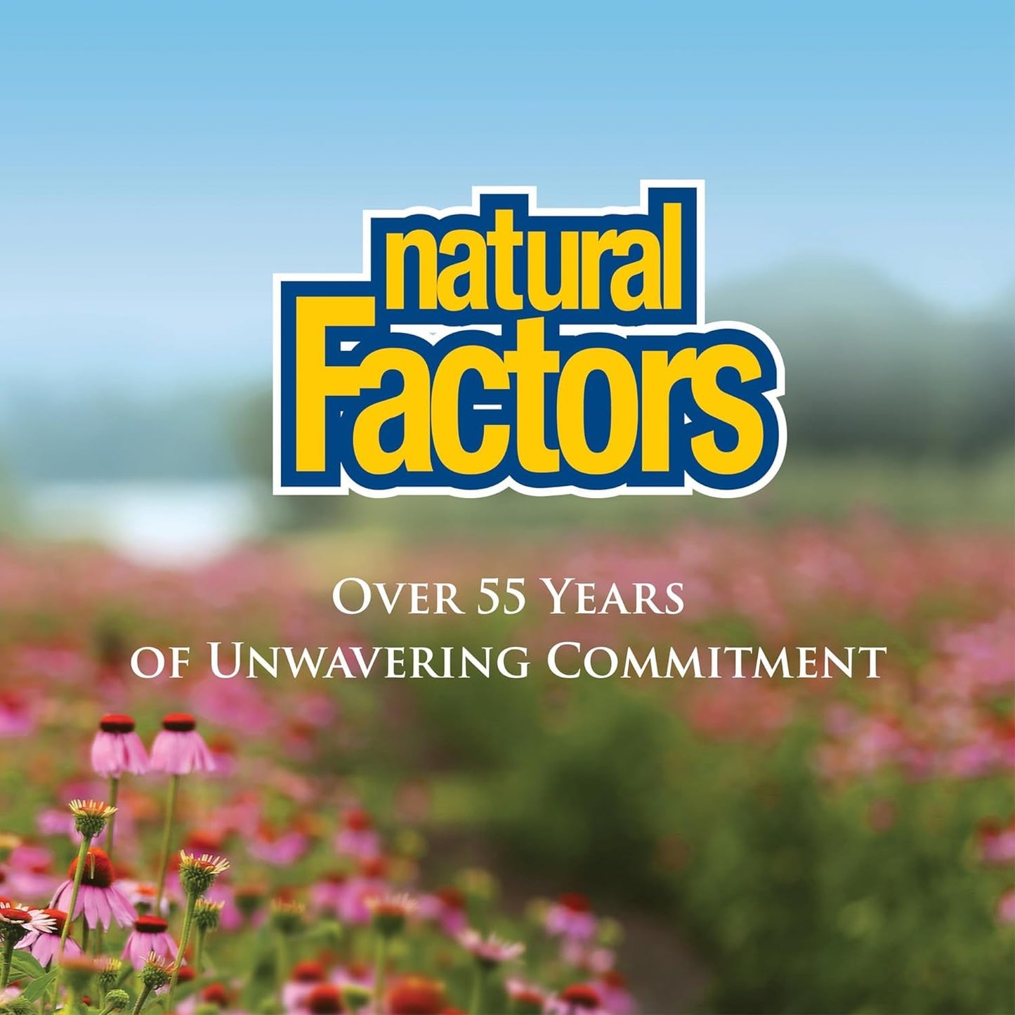 Natural Factors Vitamin C 1000mg Time Release | Antioxidant Protection & Immune Support | 90 Tablets