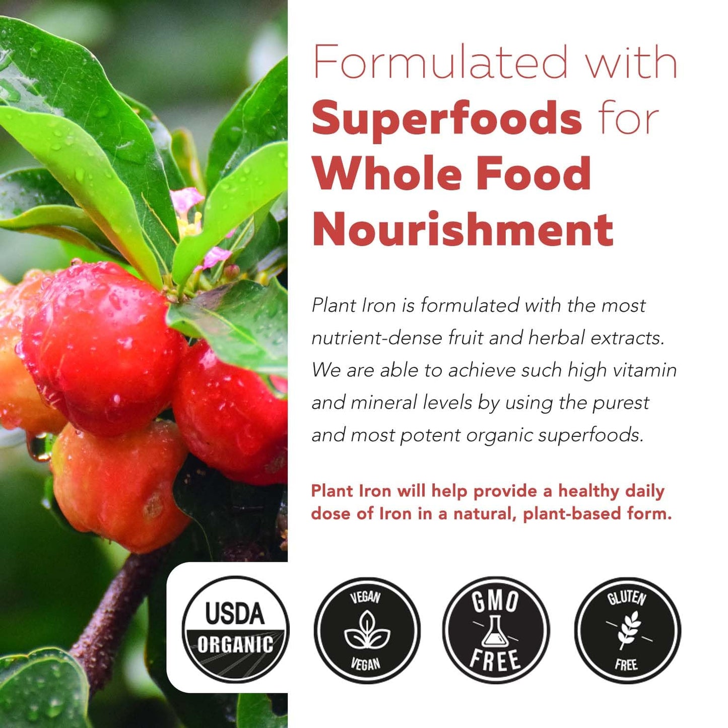 Organic Iron Supplement | Whole Food Mineral & Cofactors, 25 mg Elemental | Enhanced Absorption Plus Blood Health Vitamins – Gentle Form – Supports Healthy Levels & Blood Health – 90 Capsules