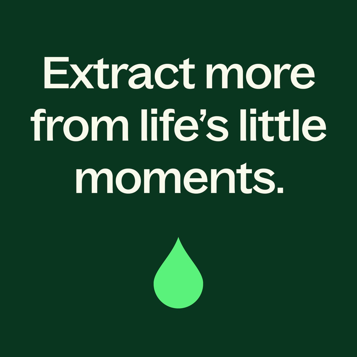 Plant Therapy Organic Peppermint Essential Oil – 100% Pure, USDA Organic, 100 mL