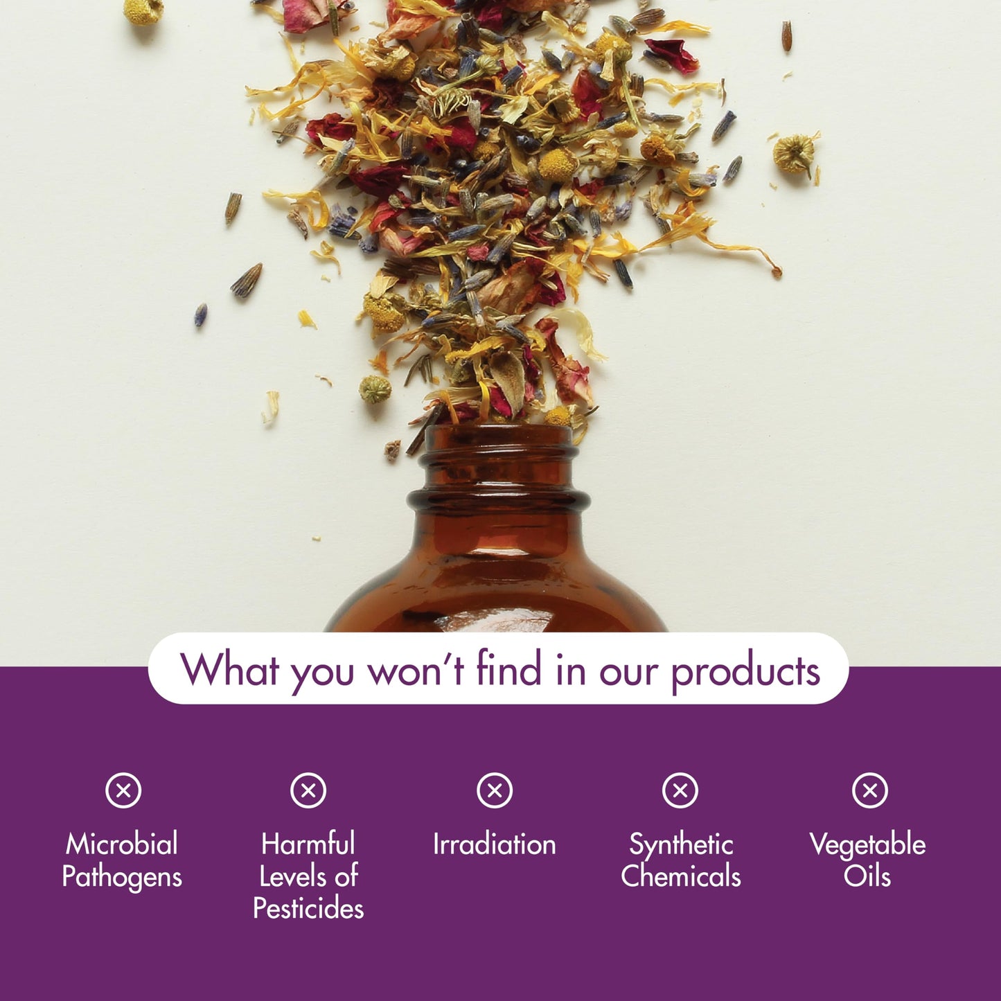 NOW Foods Tea Tree Oil 16 oz – 100% Pure, Steam Distilled Essential Oil