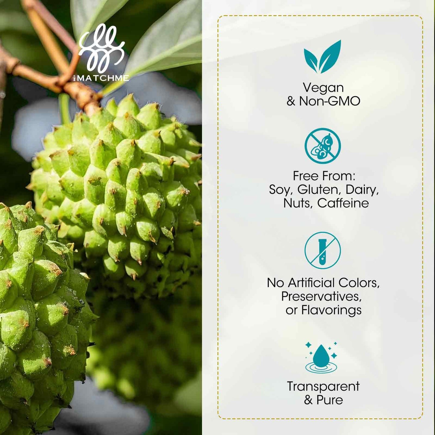 (2 Pack) Soursop Graviola Liquid Drop with Elderberry & Lion's Mane — Immune & Gut Support