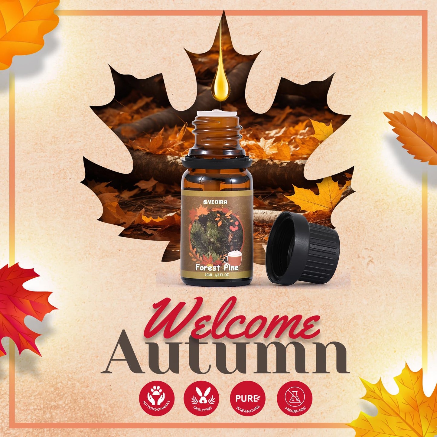 Autumn Fragrance Oils Set by AVEOIRA – 6x10mL for Diffuser, Candles & Soaps