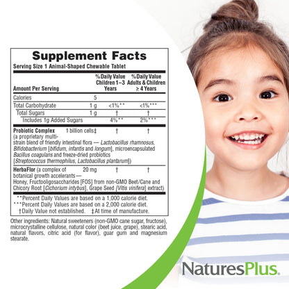 NaturesPlus Animal Parade AcidophiKidz Berry Flavor – 90 Chewables | Probiotics, FOS & Grape Seed