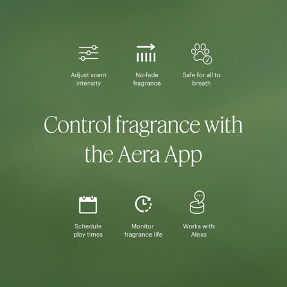 Aera Mini Sandalwood: Essential Oil for Home & Calm Fragrance