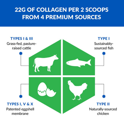 BioTrust Ageless Multi Collagen Peptides Powder – 5 Types I-V-X - Vanilla
