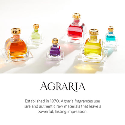 AGRARIA AirEssence Flower & Reed Diffuser Set – Handmade Sola Flower Luxury Home Fragrance