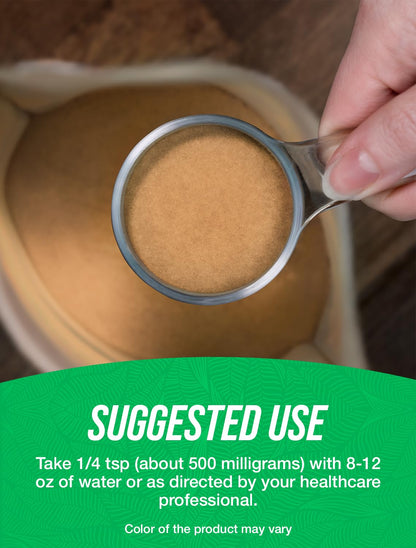 Ajuga Turkest Extract Powder 500mg - 100g | BulkSupplements