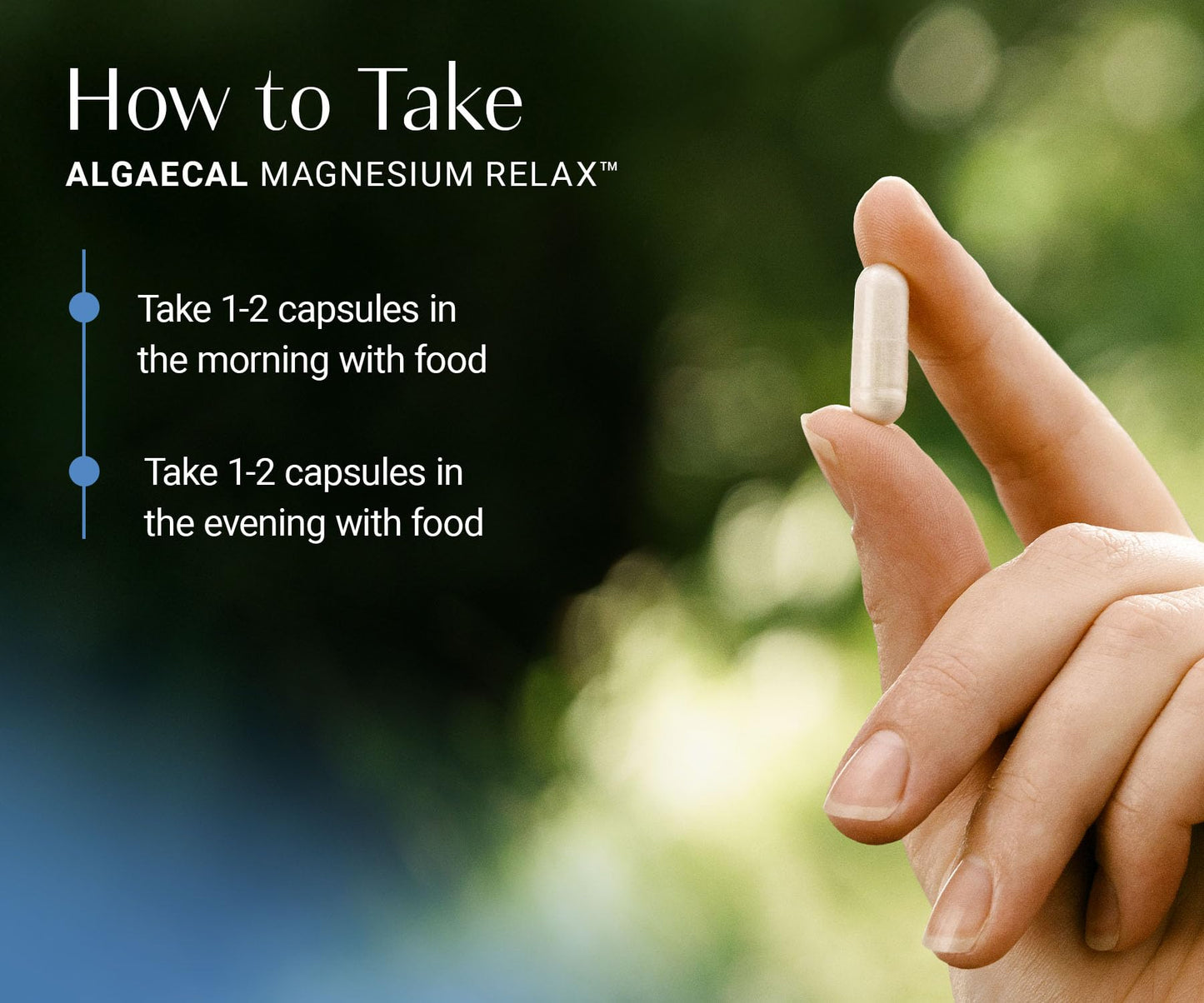 AlgaeCal Magnesium Relax™ Chelated Mg with Ashwagandha for Sleep & Anxiety