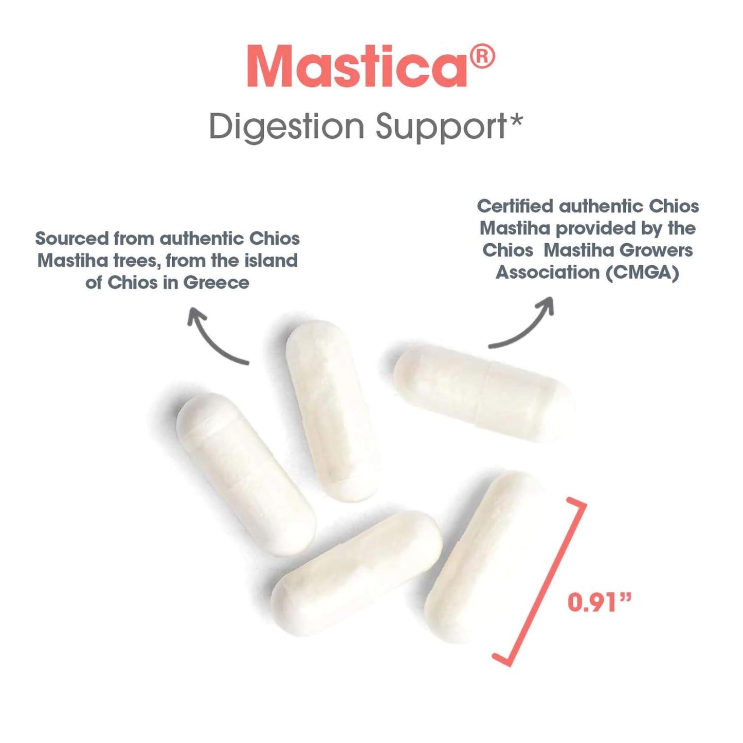 Allergy Research Group Mastica - Mastic Gum Capsules for Digestive Health - 240 Count