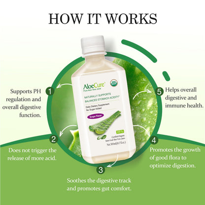 AloeCure USDA Organic Aloe Vera Juice – Grape Flavor, 16.7oz x 2 Bottles | Digestive & Immune Support