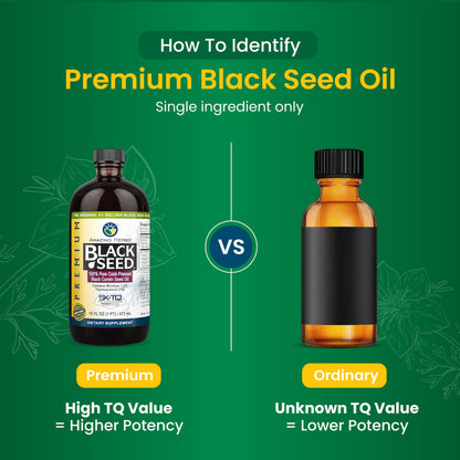 Amazing Herbs Premium Black Seed Oil – 16 fl oz (Pack of 2) | Nigella Sativa, Digestive & Immune Support