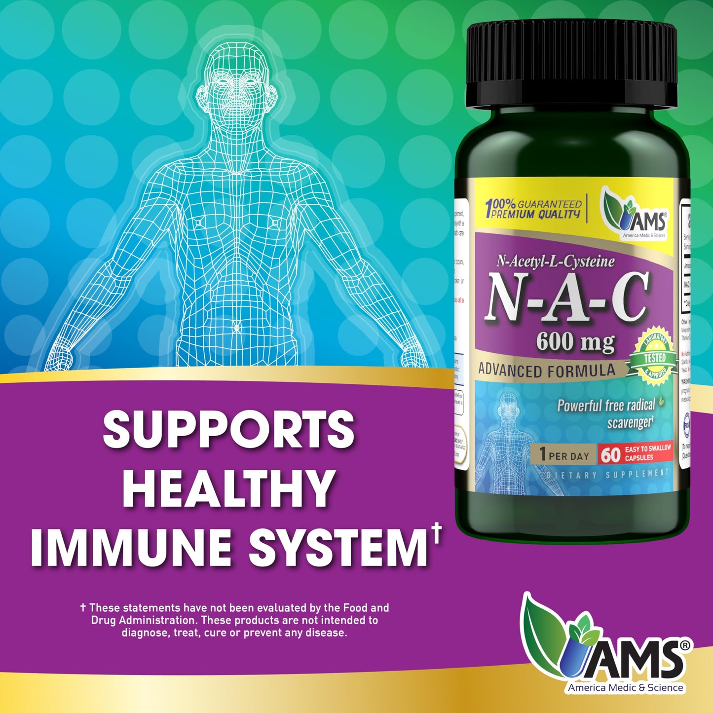 America Medic & Science NAC 600mg – NAC for Lung Health, Immune Support & Liver Health | 60 Capsules (Pack of 3)