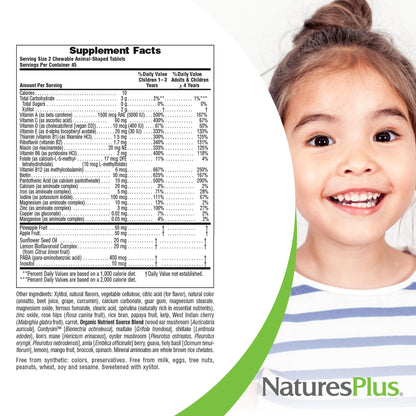 Natures Plus Animal Parade Sugar-Free Children's Multivitamin - Assorted Cherry, Grape & Orange Flavors - 90 Chewable Tablets - 45 Total Servings