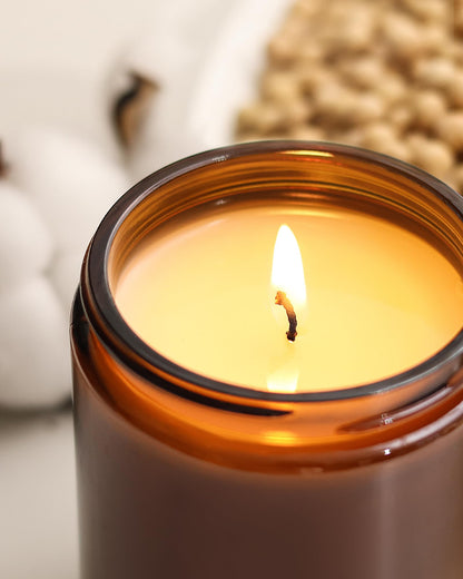 AOOVOO Apple Cinnamon Candles – 22 oz Soy Scented Candle for Home & Aromatherapy