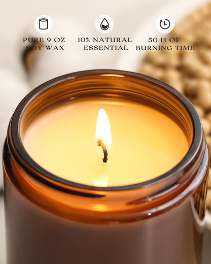 AOOVOO Apple Cinnamon Candles - 9oz Soy Scented Candle for Home & Aromatherapy