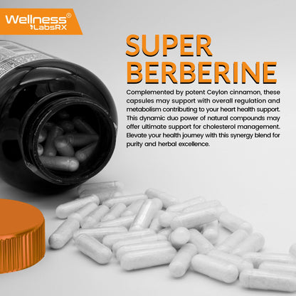 WELLNESS LABSRX Berberine 15,000mg – 120 Capsules | Third-Party Tested HCL with Cinnamon, Black Pepper & Apple Cider Vinegar