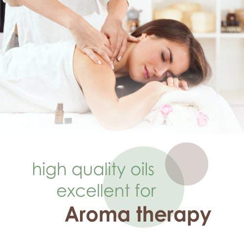 Arnica Montana Therapeutic Essential Oil – Salvia Amber Bottle, 100% Natural, Cold-Pressed (500 ml) Aromatherapy Premium Oil
