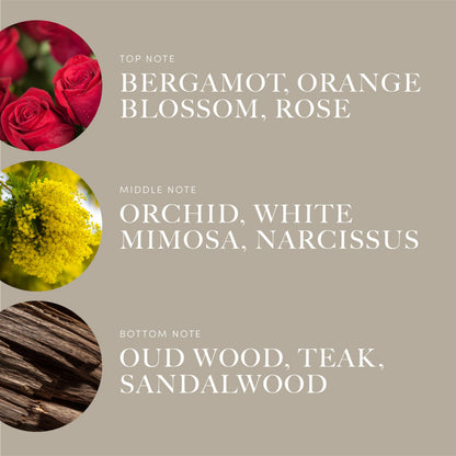 Aroma360 Disney: A Whole New World Fragrance Oil Blend | Luxury Diffuser Oil 50 mL