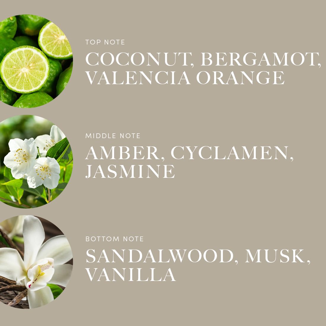 Aroma360 Down In New Orleans Fragrance Oil – Disney Princess Tiana | 50 ml Pro-Pod & Oil