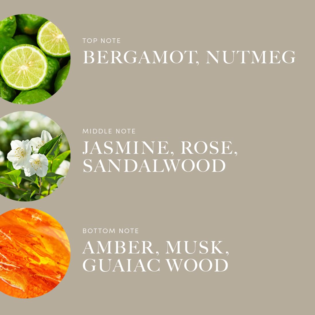 Aroma360 Disney Reflection Fragrance Oil – Mulan | Bergamot, Nutmeg & Jasmine | 16.9 fl oz