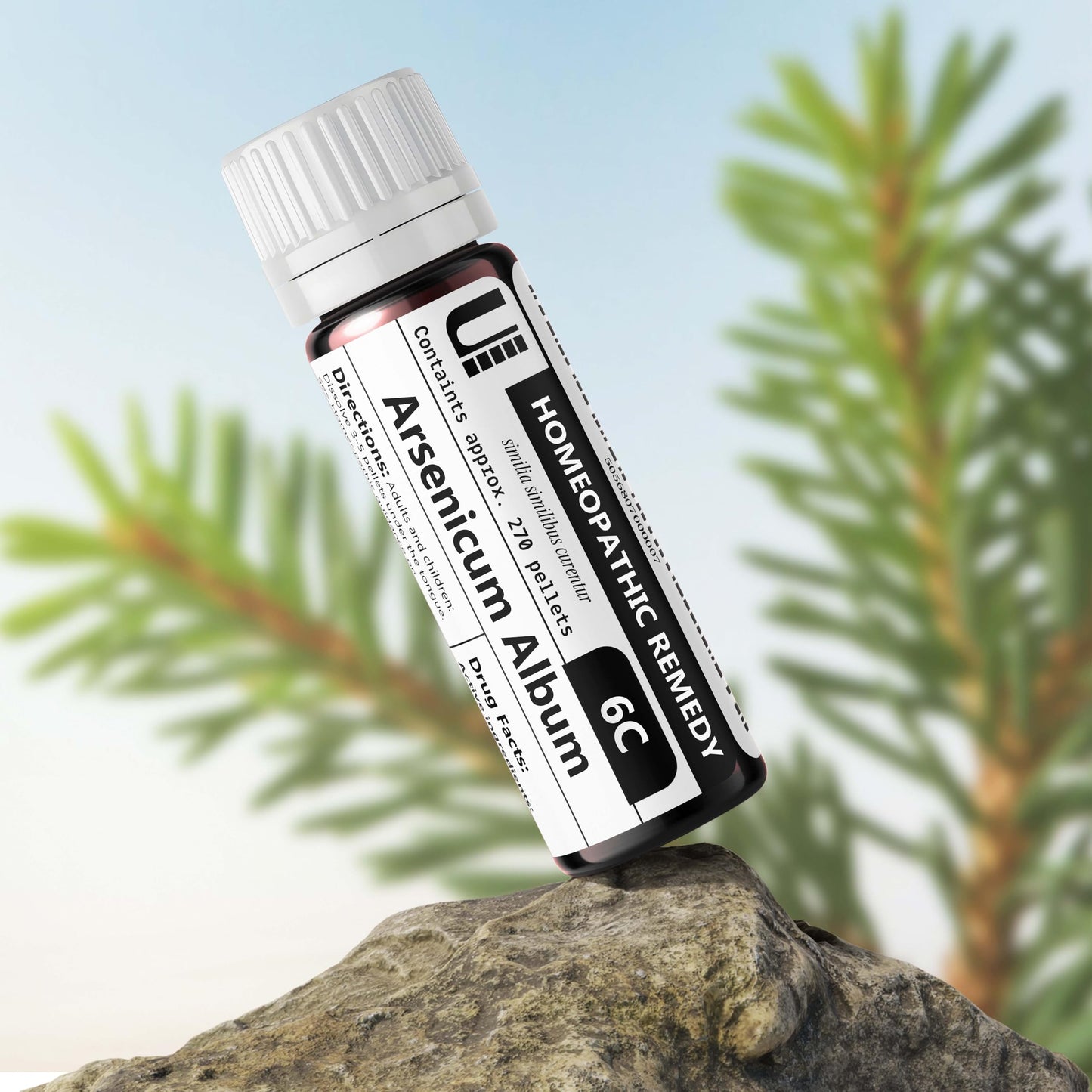 Arsenicum Album 6C Homeopathic Remedy, 270 Pellets