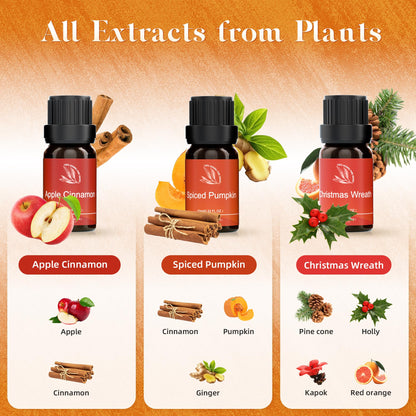 ASAKUKI Essential Oils for Diffusers & Candle Making – Peppermint, Vanilla Cupcake, Sparkling Cinnamon, Spiced Pumpkin, Christmas Wreath & Apple Cinnamon | 6 x 10 ml