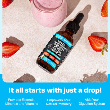 Ashwagandha & Turmeric Liquid Drops – Strawberry Ginger Lemonade (60mL) | Vegan Immune Support, Vitamin C, Sea Moss & Apple Cider Vinegar