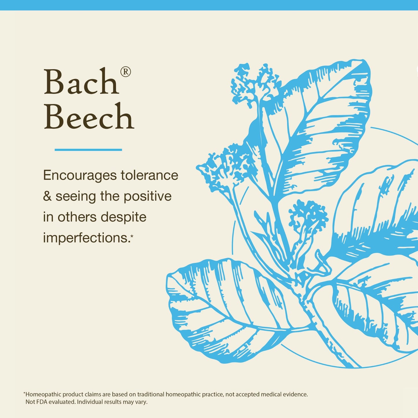Bach Beech (Non-Alcohol) - Be More Tolerant - Homeopathic Flower Remedy