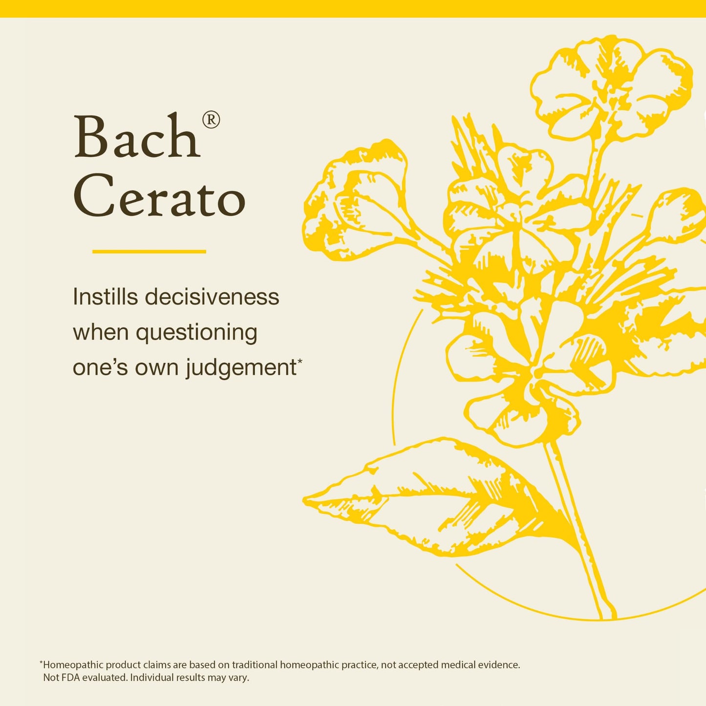 Cerato Bach Original Flower Remedy – Trust Intuition (20 mL) – Vegan, Gluten Free, Sugar Free