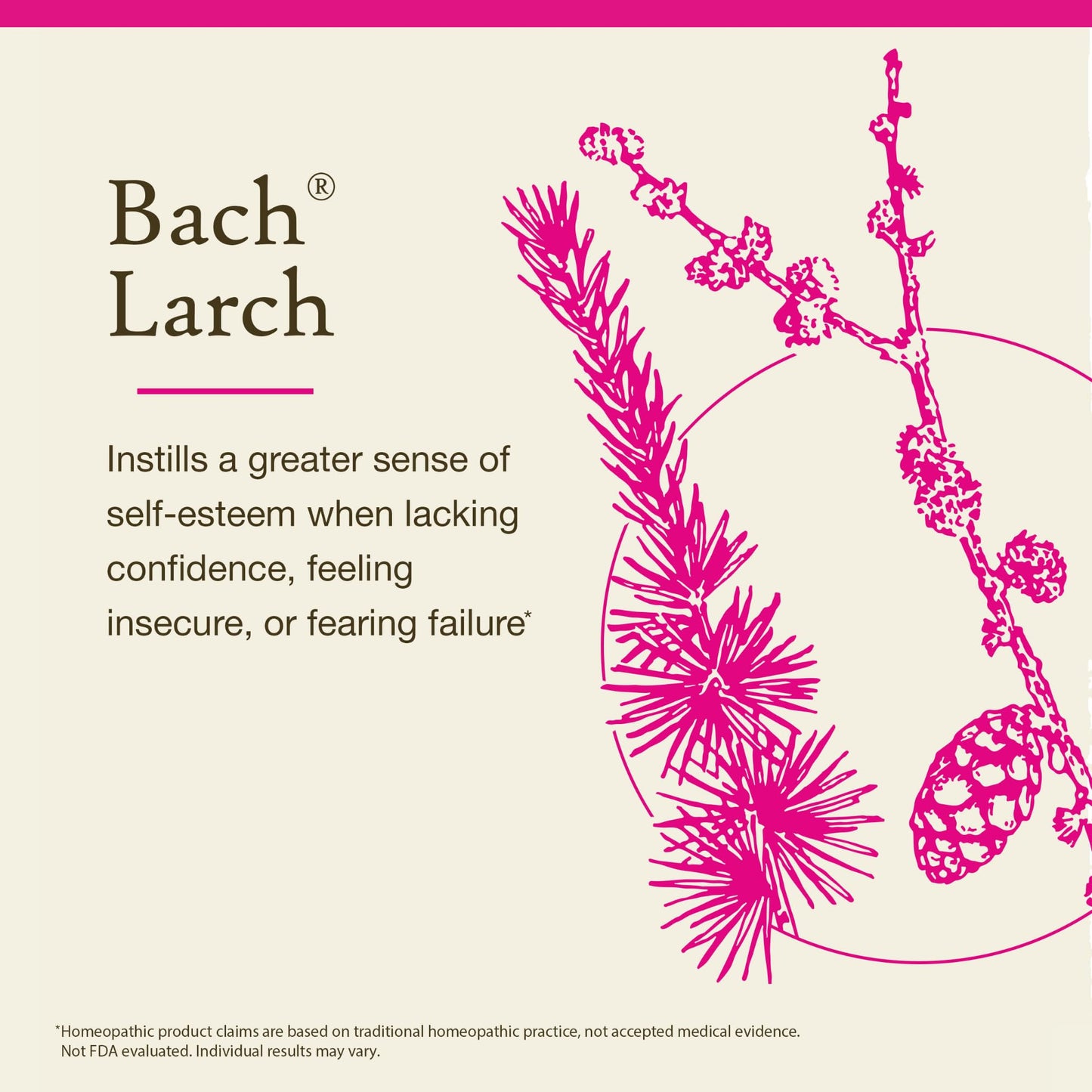 Bach Larch Flower Remedy: Confidence & Balance | 20mL