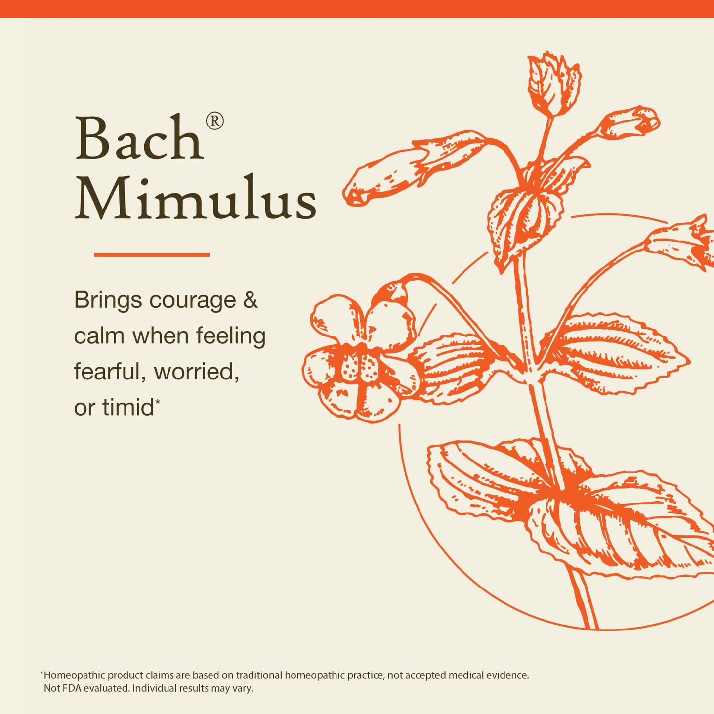 Bach Mimulus - Face Your Fears - 20mL Dropper | Emotional Balance