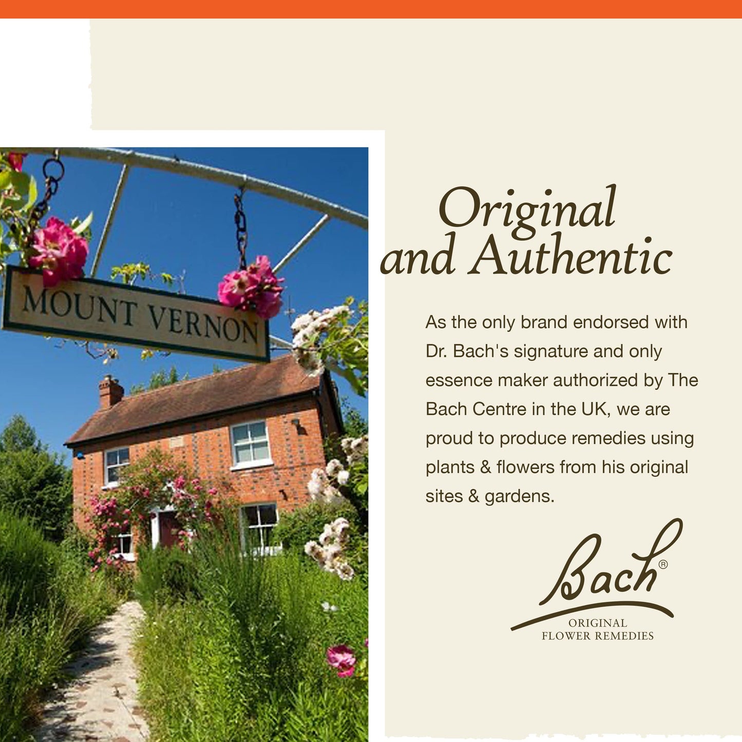 Bach Mimulus - Face Your Fears - 20mL Dropper | Original Flower Remedies
