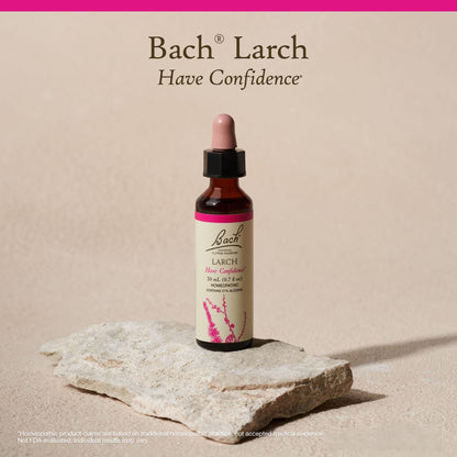 Bach Original Flower Remedy – Larch (Have Confidence) – 20mL Dropper