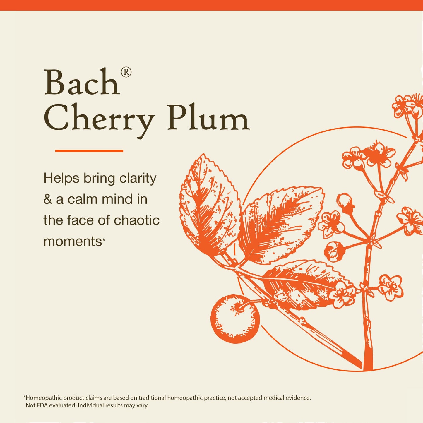 Cherry Plum Bach Original Flower Remedy – Be in Control | 20mL Dropper