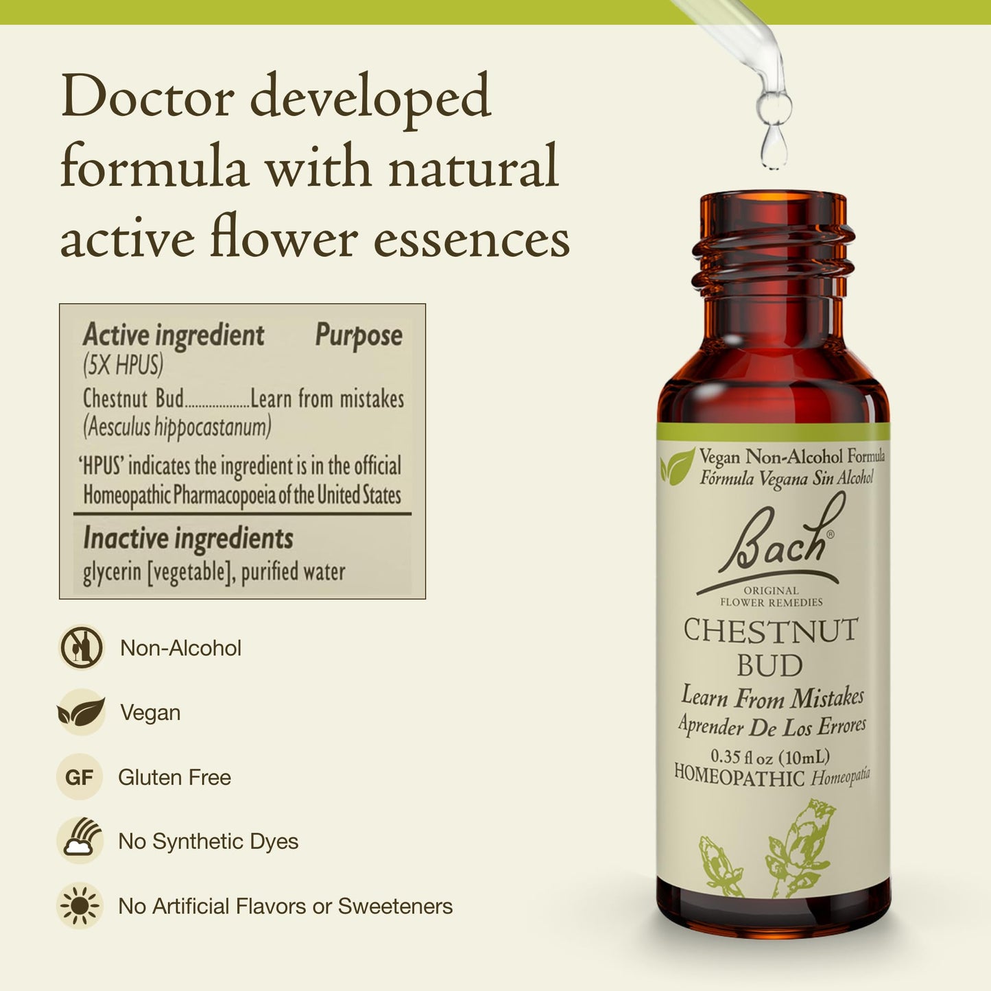 Chestnut Bud Non-Alcohol Flower Remedy – Bach Original | Learn From Mistakes | 10mL Dropper