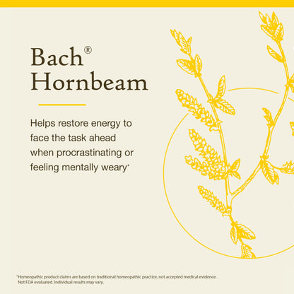 Bach Hornbeam Original Flower Remedy – Procrastinate Less | 20mL Dropper