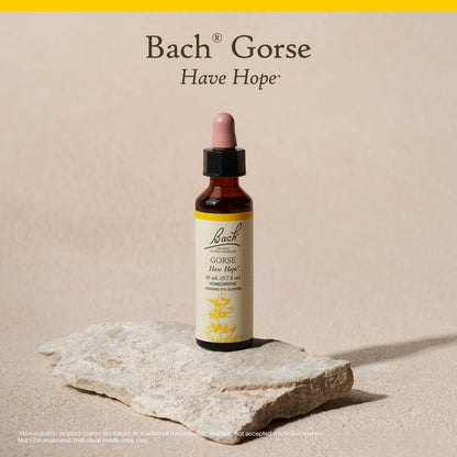 Bach Original Flower Remedies: Gorse - Have Hope (20mL Dropper)