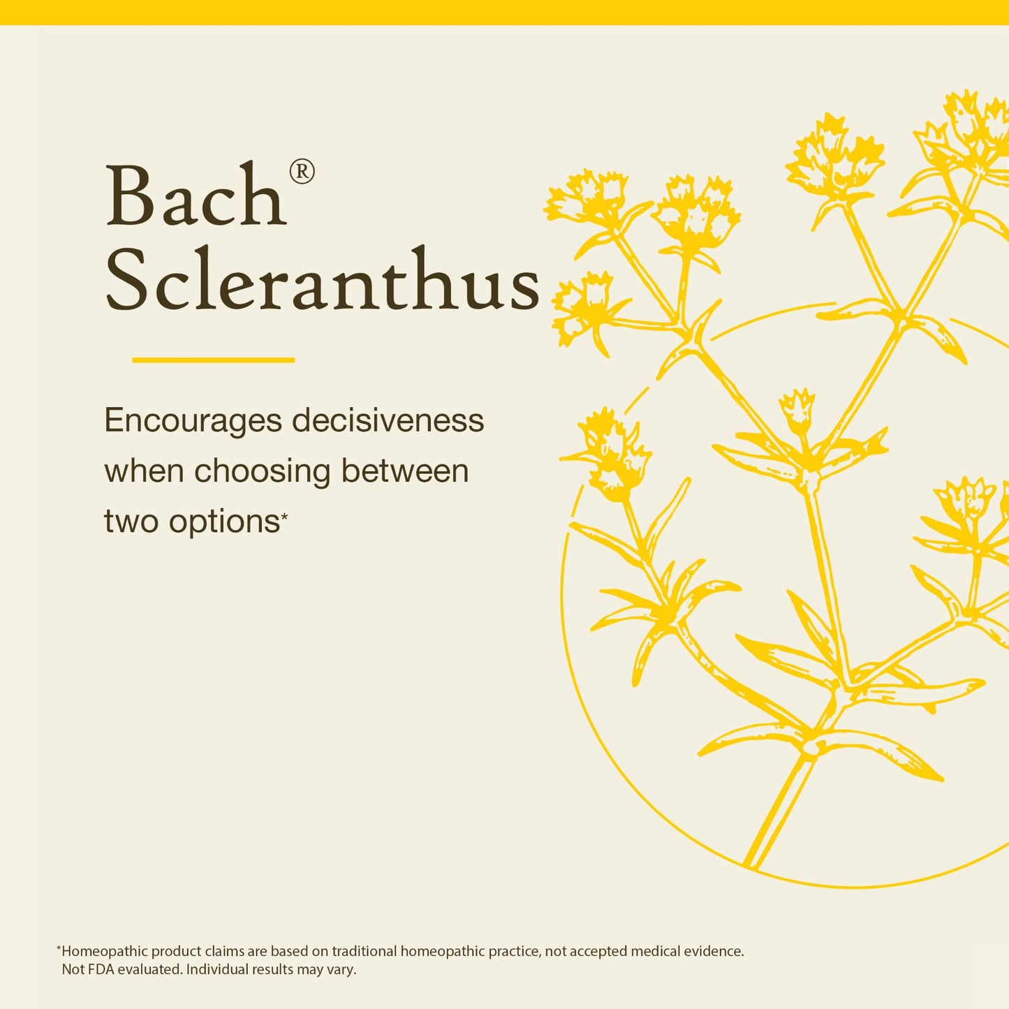 Bach Original Flower Remedies Scleranthus – Be Decisive (20mL Dropper) | Emotional Balance | Vegan, Gluten Free
