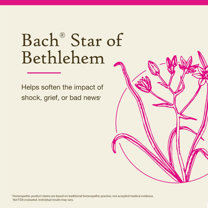 Star of Bethlehem Bach Original Flower Remedies – 20mL Dropper (Pack of 2) – Emotional Balance