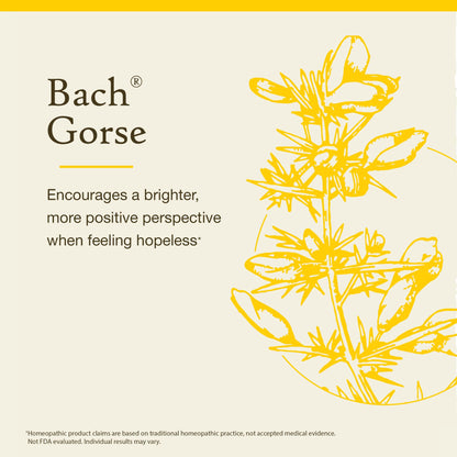 Bach Original Flower Remedies: Gorse (Have Hope) – 20mL Dropper