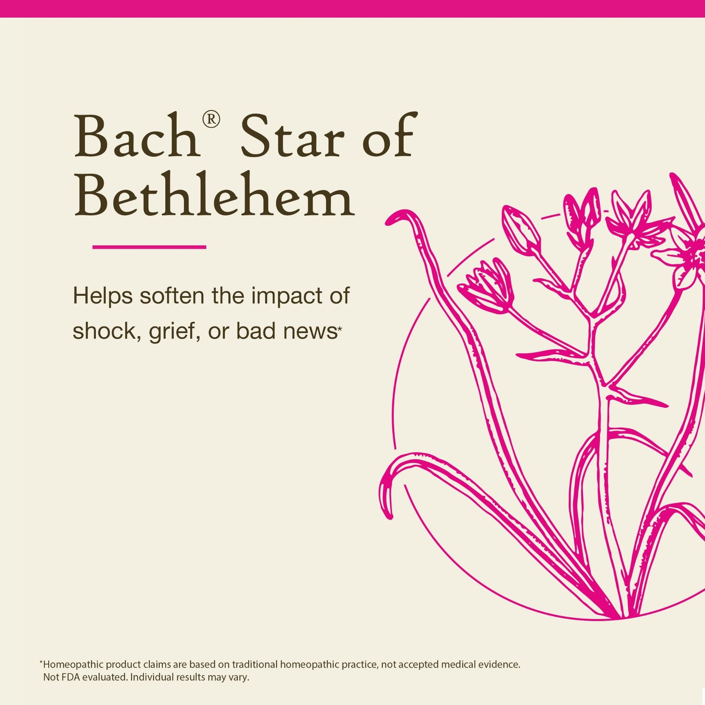 Star of Bethlehem Bach Flower Remedy 20mL – Emotional Balance (Vegan, Gluten Free)